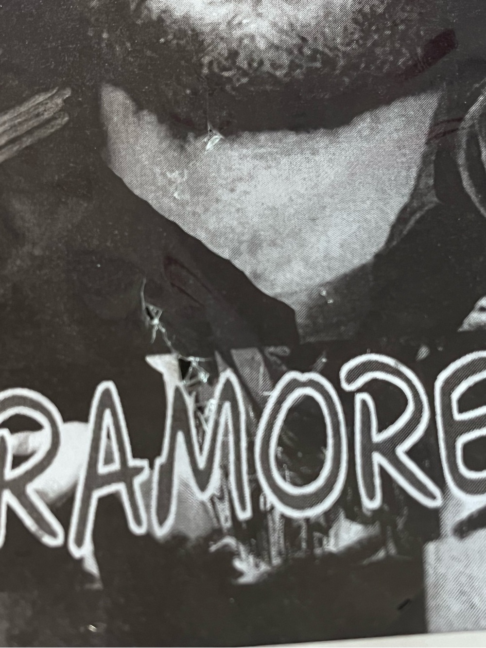 Paramore Portrait Drawing - Picture 4 of 8